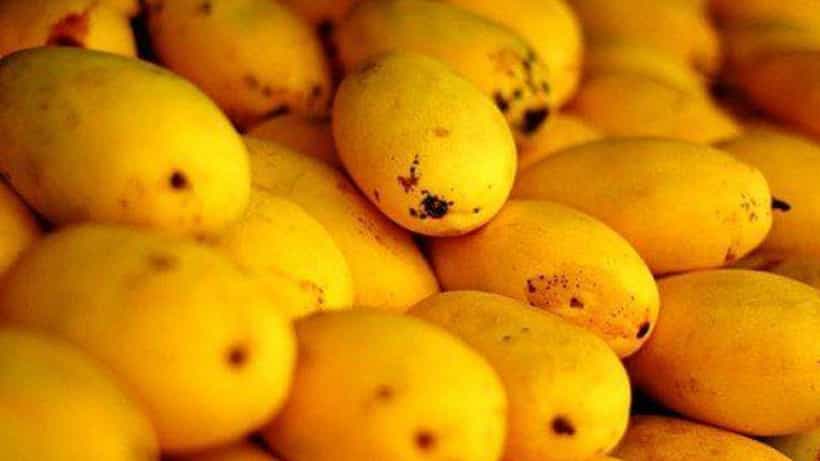 ಮಾವಿನ ಹಣ್ಣುಗಳನ್ನು ಖರೀದಿಸುವ ಮುನ್ನ ಎಚ್ಚರ! ಈ ವಿಚಾರ ತಿಳಿದಿರಲಿ