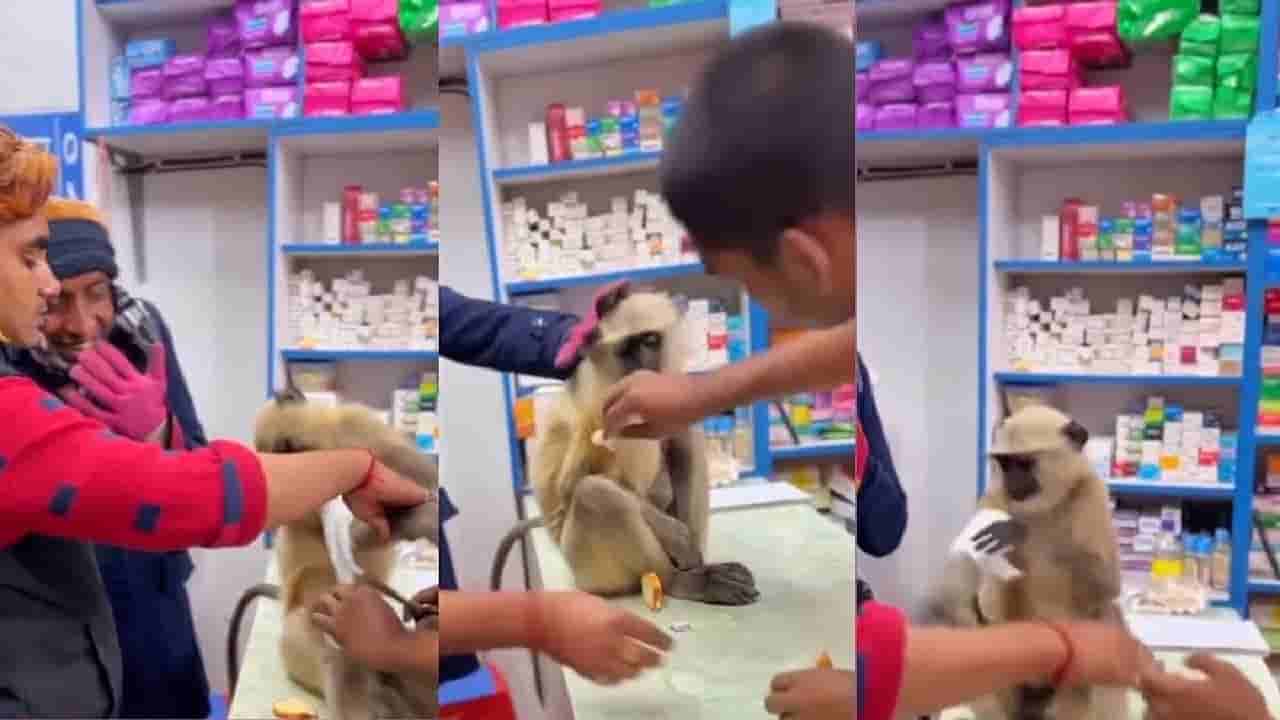 ಗಾಯಕ್ಕೆ ಚಿಕಿತ್ಸೆ ಪಡೆಯಲು ಬಾಂಗ್ಲಾದೇಶದ ಮೆಡಿಕಲ್ ಶಾಪ್ಗೆ ನುಗ್ಗಿದ ಮಂಗ!