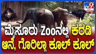 ರವಿ ಕುಂಭ ರಾಶಿಯಲ್ಲಿ, ಚಂದ್ರ ಸಿಂಹ ರಾಶಿಯಲ್ಲಿ ಸಂಚರಿಸುವ ಈ ದಿನದ ರಾಶಿ ಭವಿಷ್ಯ ತಿಳಿಯಿರಿ