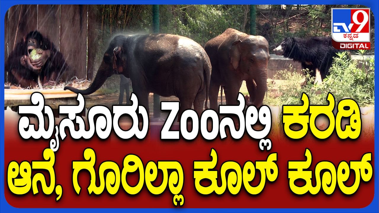 ಮೃಗಾಲಯದ ಪ್ರಾಣಿಗಳಿಗೂ ತಟ್ಟಿದ ಬೇಸಿಗೆ ಬಿಸಿ: ಸ್ಪ್ರಿಂಕ್ಲರ್ ವ್ಯವಸ್ಥೆ