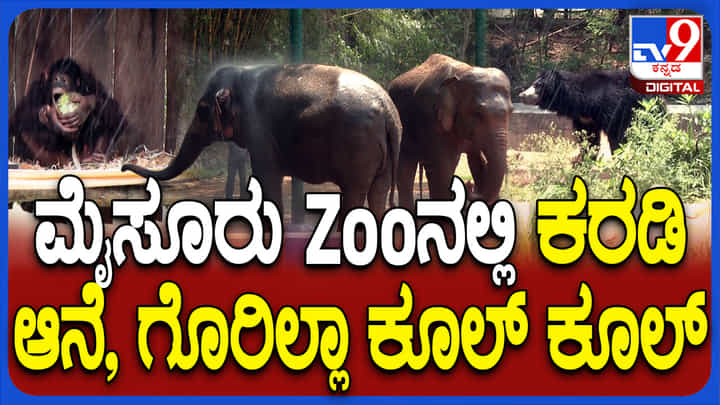 ಮೃಗಾಲಯದ ಪ್ರಾಣಿಗಳಿಗೂ ತಟ್ಟಿದ ಬೇಸಿಗೆ ಬಿಸಿ: ಸ್ಪ್ರಿಂಕ್ಲರ್ ವ್ಯವಸ್ಥೆ ಮೃಗಾಲಯದ ಪ್ರಾಣಿಗಳಿಗೂ ತಟ್ಟಿದ ಬೇಸಿಗೆ ಬಿಸಿ: ಸ್ಪ್ರಿಂಕ್ಲರ್ ವ್ಯವಸ್ಥೆ