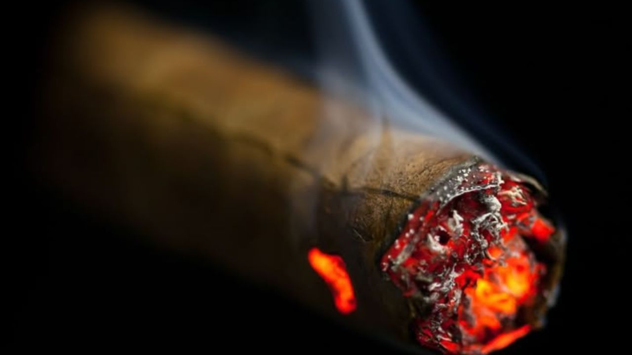 ನಿಮಗೆ ತಂಬಾಕು ಸೇವನೆಯಿಂದ ಉಂಟಾಗುವ ಹಾನಿಯ ಬಗ್ಗೆ ತಿಳಿದಿರಬಹುದು. ಯಾವುದೇ ಒಂದು ಅಭ್ಯಾಸವನ್ನು ಬಿಡಲು ಕಷ್ಟವಾದಾಗ ಅದನ್ನು'ಚಟ' ಎಂದು ಕರೆಯಲಾಗುತ್ತದೆ. ತಂಬಾಕಿನ ವ್ಯಸನವೂ ಕೂಡ ಪ್ರಪಂಚದಾದ್ಯಂತ ಅನೇಕರನ್ನು ಆವರಿಸಿದೆ. ಎಷ್ಟೇ ಪ್ರಯತ್ನಪಟ್ಟರೂ ಆ ಚಟದಿಂದ ಹೊರಬರಲು ಸಾಧ್ಯವಾಗುವುದಿಲ್ಲ. ಹಾಗಾದರೆ ಅದರಲ್ಲಿ ಏನಿದೆ?
