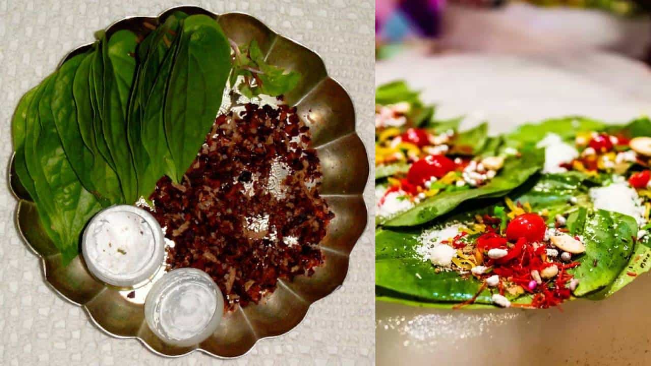 ವಿದ್ಯಾರ್ಥಿಗಳು ಎಲೆ-ಅಡಿಕೆ ಸೇವನೆ ಏಕೆ ಮಾಡಬಾರದು? ಮಾಹಿತಿ ಇಲ್ಲಿದೆ ವಿದ್ಯಾರ್ಥಿಗಳು ಎಲೆ-ಅಡಿಕೆ ಸೇವನೆ ಏಕೆ ಮಾಡಬಾರದು? ಮಾಹಿತಿ ಇಲ್ಲಿದೆ