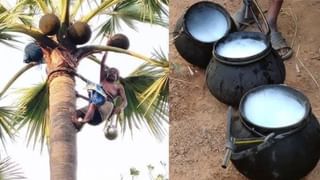 Urine Color Alert: ಮೂತ್ರದ ಬಣ್ಣದಿಂದ ನಿಮಗಿರುವ ಆರೋಗ್ಯ ಸಮಸ್ಯೆಯನ್ನು ತಿಳಿಯಬಹುದು