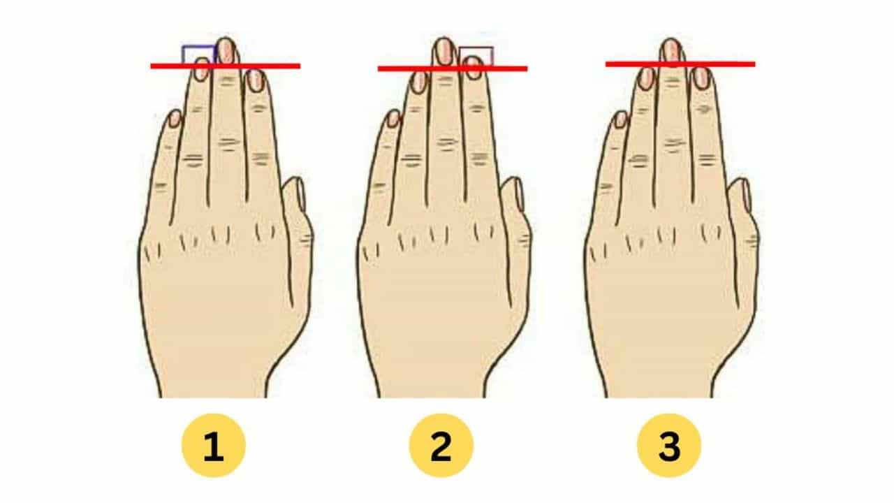Personality Test: ತೋರು ಬೆರಳಿಗಿಂತ ಉಂಗುರ ಬೆರಳು ಚಿಕ್ಕದಿದ್ಯಾ? ಹಾಗಾದ್ರೆ ನಿಮ್ಮ ವ್ಯಕ್ತಿತ್ವ ಹೀಗಿರುತ್ತೆ