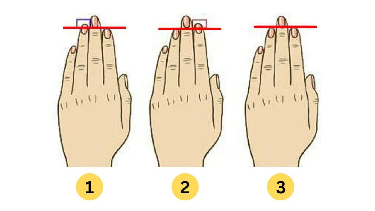 Personality Test: ತೋರು ಬೆರಳಿಗಿಂತ ಉಂಗುರ ಬೆರಳು ಚಿಕ್ಕದಿದ್ಯಾ? ಹಾಗಾದ್ರೆ ನಿಮ್ಮ ವ್ಯಕ್ತಿತ್ವ ಹೀಗಿರುತ್ತೆ