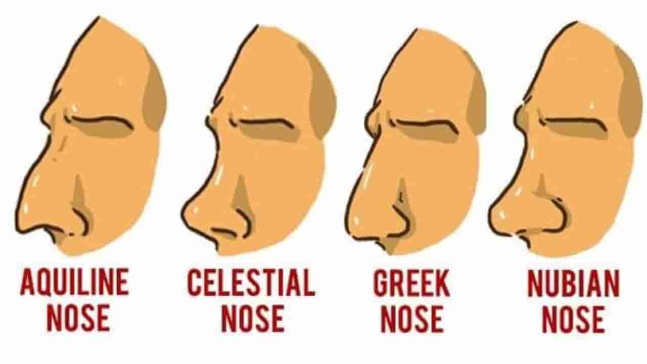 Personality Test : ನಿಮ್ಮ ಮೂಗಿನ ಆಕಾರವೇ ಬಿಚ್ಚಿಡುತ್ತೆ ರಹಸ್ಯಮಯ ವ್ಯಕ್ತಿತ್ವ