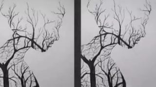 Hair Care: ಕೂದಲಿನ ಆರೈಕೆಗೆ ಪರಿಣಾಮಕಾರಿ ಅಲೋವೆರಾ ಜೆಲ್; ಅತಿಯಾಗಿ ಬಳಸಿದ್ರೆ ಅಡ್ಡಪರಿಣಾಮಗಳೇ ಹೆಚ್ಚು