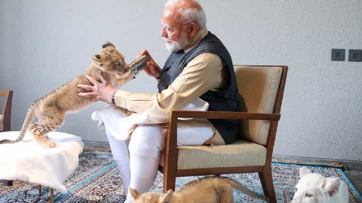 ಗುಜರಾತ್ನ ವಂತಾರದಲ್ಲಿ ಹುಲಿ ಮರಿಗೆ ಹಾಲು ಕುಡಿಸಿದ ಪ್ರಧಾನಿ ಮೋದಿ ಗುಜರಾತ್ನ ವಂತಾರದಲ್ಲಿ ಹುಲಿ ಮರಿಗೆ ಹಾಲು ಕುಡಿಸಿದ ಪ್ರಧಾನಿ ಮೋದಿ