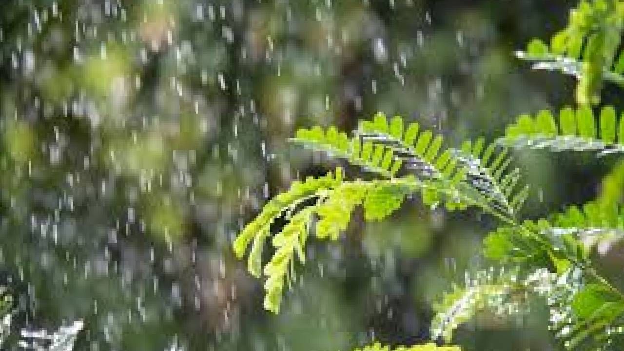 Karnataka Weather: ಮುಂದಿನ 2 ದಿನಗಳ ಕಾಲ ಕರ್ನಾಟಕದ 4 ಜಿಲ್ಲೆಗಳಲ್ಲಿ ಮಳೆ, 6 ಜಿಲ್ಲೆಗಳಲ್ಲಿ ಉಷ್ಣ ಅಲೆ
