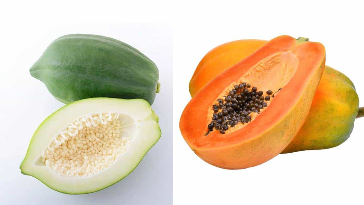 Raw Papaya vs Ripe Papaya: ಇವೆರಡರಲ್ಲಿ ಕೂದಲಿನ ಬೆಳವಣಿಗೆಗೆ ಯಾವುದು ಉತ್ತಮ? ಇಲ್ಲಿದೆ ಮಾಹಿತಿ