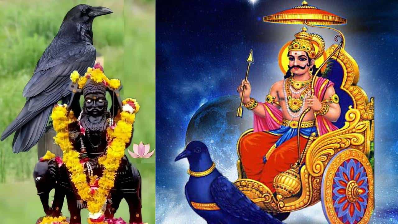 Shani Amavasya 2025: ಶನಿ ಅಮಾವಾಸ್ಯೆ ಯಾವಾಗ? ದಿನಾಂಕ ಮತ್ತು ಮಹತ್ವ ತಿಳಿಯಿರಿ