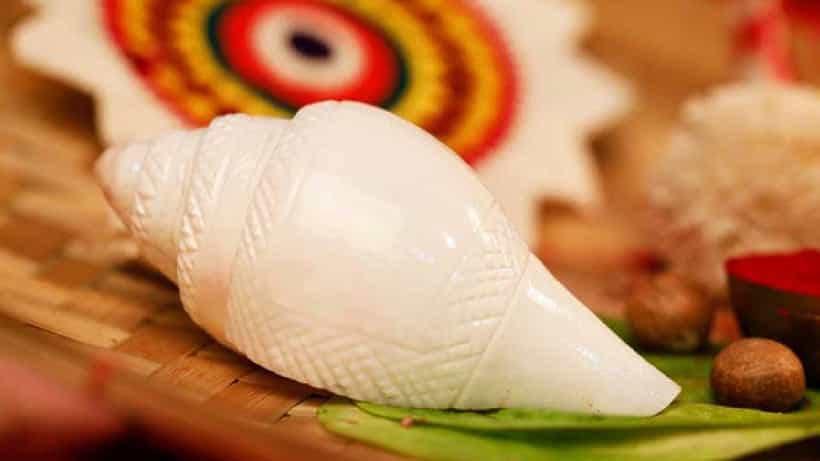 Vasthu Tips: ಮನೆಯಲ್ಲಿ ಶಂಖ ಇಡುವುದಾದರೆ ಪಾಲಿಸಬೇಕಾದ ವಾಸ್ತು ಸಲಹೆಗಳಿವು