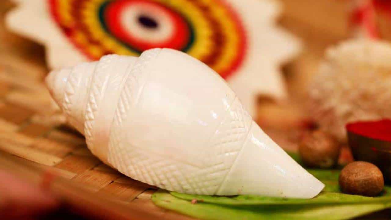 Vasthu Tips: ಮನೆಯಲ್ಲಿ ಶಂಖ ಇಡುವುದಾದರೆ ಪಾಲಿಸಬೇಕಾದ ವಾಸ್ತು ಸಲಹೆಗಳಿವು