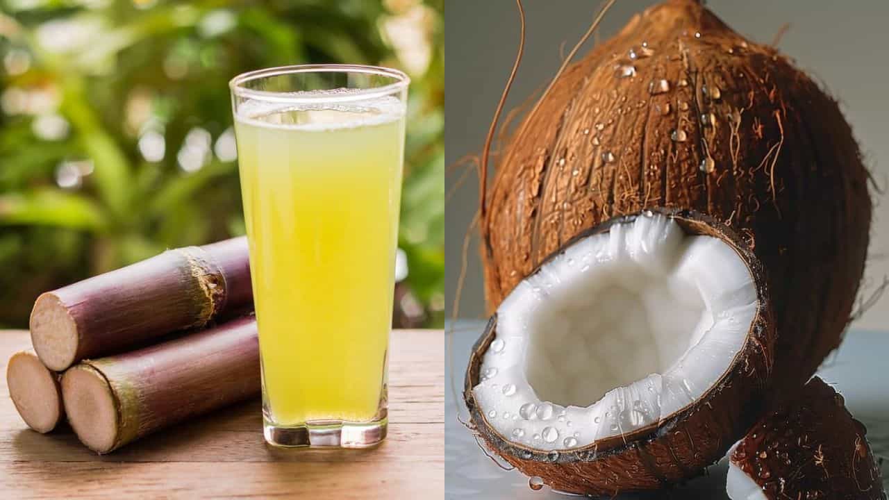 Coconut Water vs Sugarcane Juice: ಎಳನೀರು, ಕಬ್ಬಿನ ರಸ ಇವೆರಡರಲ್ಲಿ ಯಾವುದು ಒಳ್ಳೆಯದು Coconut Water vs Sugarcane Juice: ಎಳನೀರು, ಕಬ್ಬಿನ ರಸ ಇವೆರಡರಲ್ಲಿ ಯಾವುದು ಒಳ್ಳೆಯದು