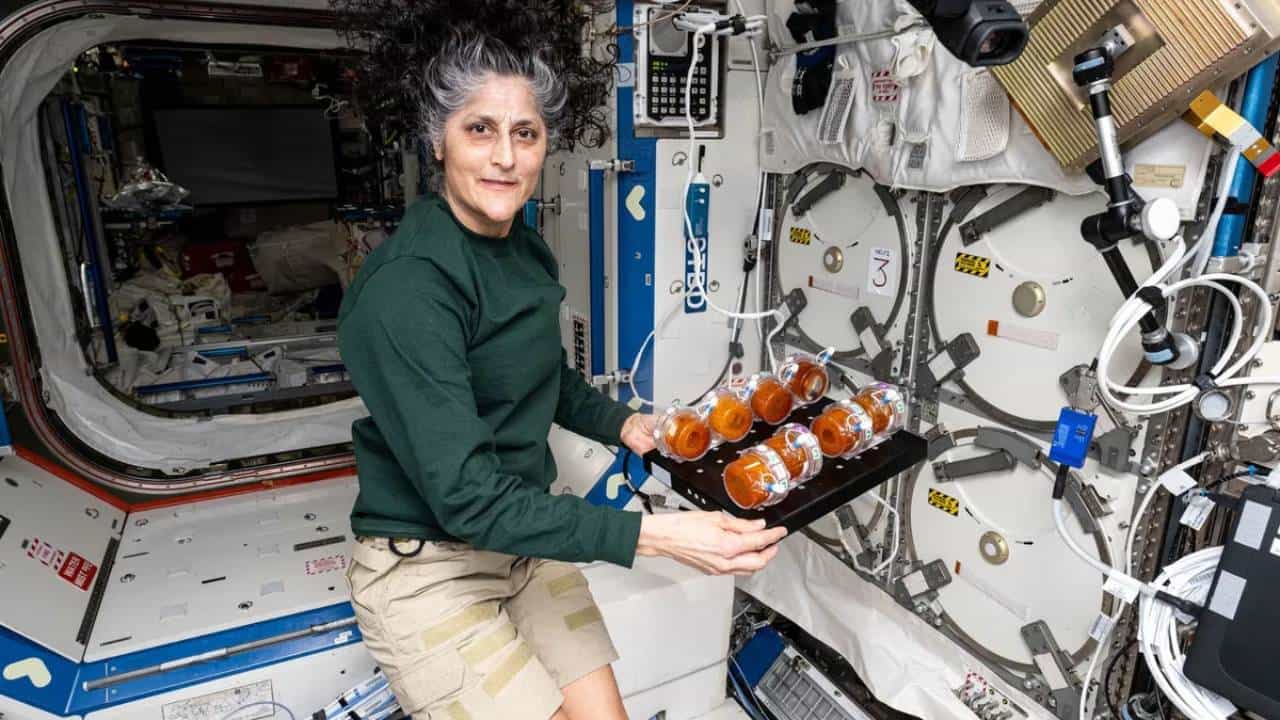 Sunita Williams: ಬಾಹ್ಯಾಕಾಶದಲ್ಲಿ ಸುನೀತಾ ವಿಲಿಯಮ್ಸ್ ಏನು ತಿನ್ನುತ್ತಿದ್ದರು? ಹೇಗಿತ್ತು ಆಹಾರ ಶೈಲಿ ತಿಳಿದುಕೊಳ್ಳಿ