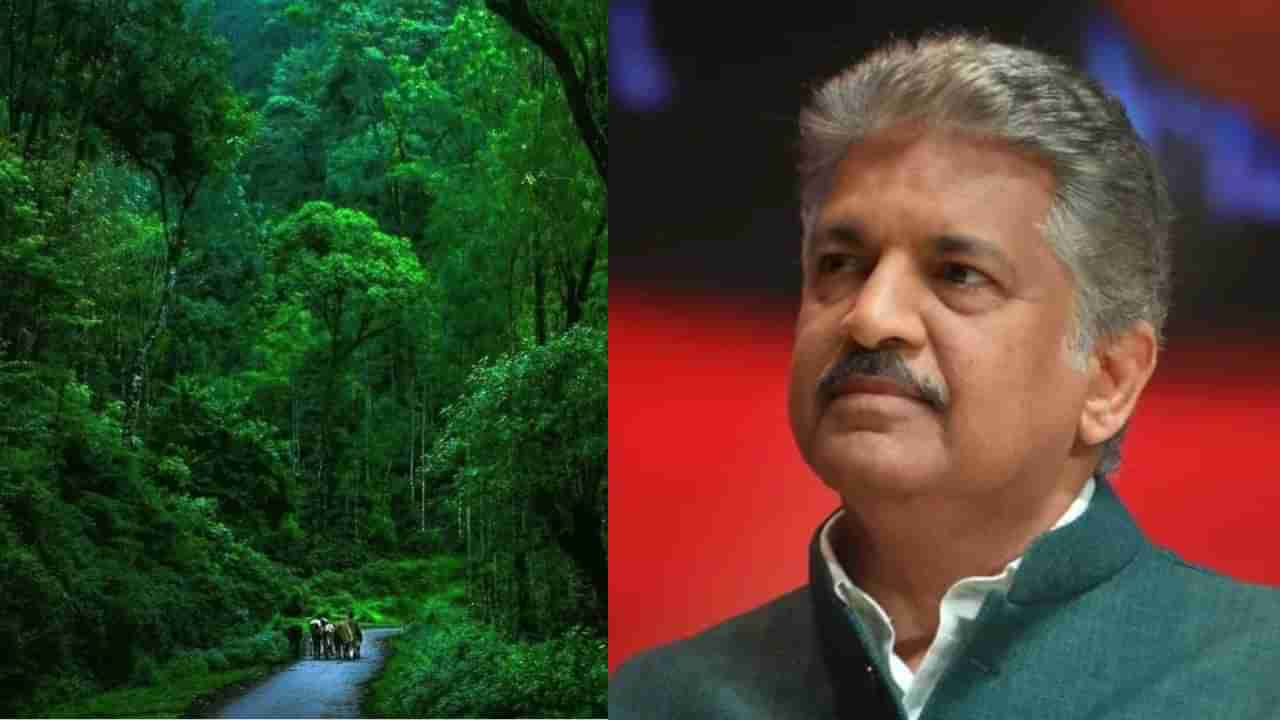 Viral: ಭಾರತದ ಮೊದಲ ಕಾಫಿ ತೋಟ ತಾಣದ ಕಥೆಯನ್ನು ಹಂಚಿಕೊಂಡ ಆನಂದ್‌ ಮಹೀಂದ್ರಾ