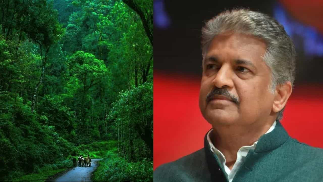 Viral: ಭಾರತದ ಮೊದಲ ಕಾಫಿ ತೋಟ ತಾಣದ ಕಥೆಯನ್ನು ಹಂಚಿಕೊಂಡ ಆನಂದ್ ಮಹೀಂದ್ರಾ Viral: ಭಾರತದ ಮೊದಲ ಕಾಫಿ ತೋಟ ತಾಣದ ಕಥೆಯನ್ನು ಹಂಚಿಕೊಂಡ ಆನಂದ್ ಮಹೀಂದ್ರಾ
