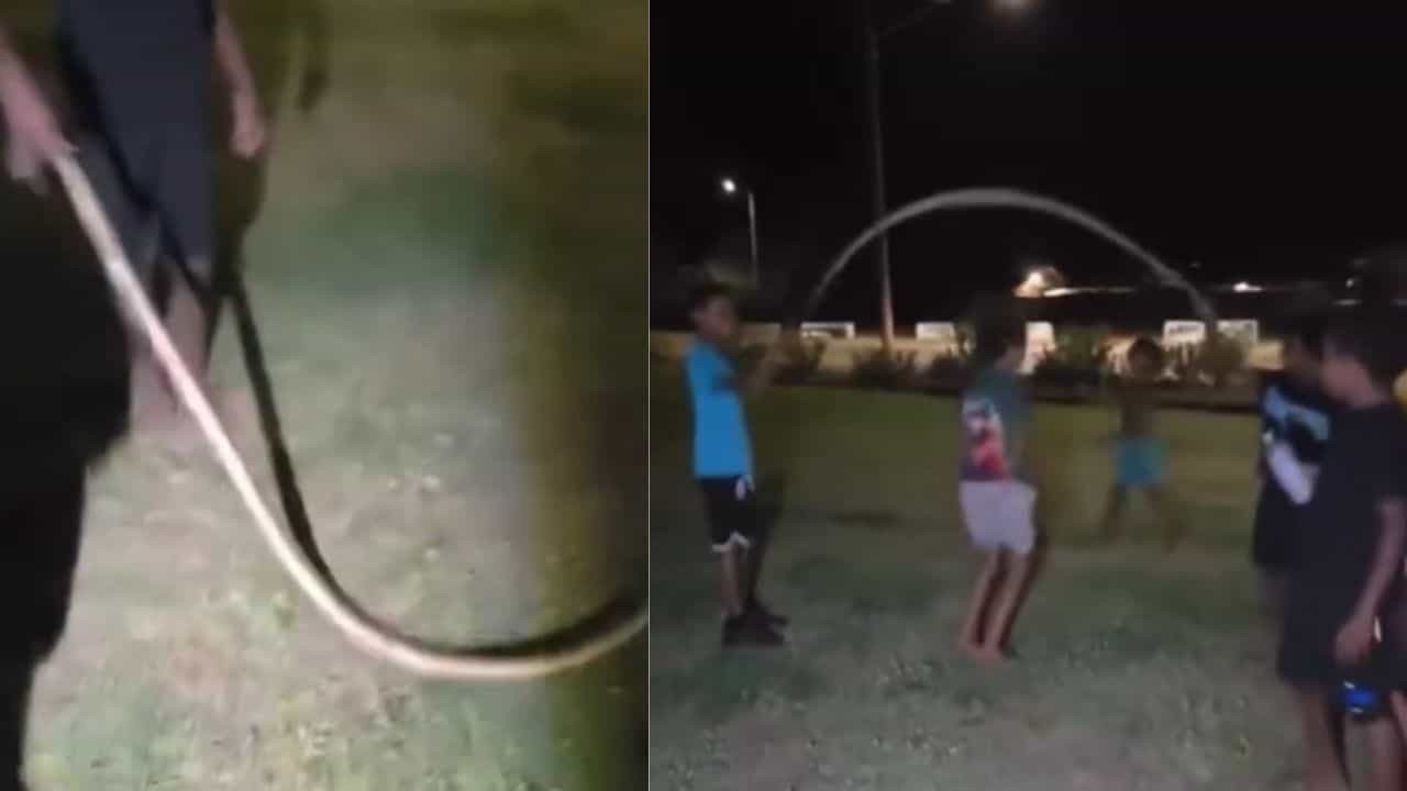 Viral: ಅಬ್ಬಬ್ಬಾ ಈ ಮಕ್ಳಿಗೆ ಭಯವೇ ಇಲ್ವಾ… ಸತ್ತ ಹೆಬ್ಬಾವನ್ನು ಹಿಡಿದು ಸ್ಕಿಪ್ಪಿಂಗ್‌ ಆಡಿದ ಪೋರರು