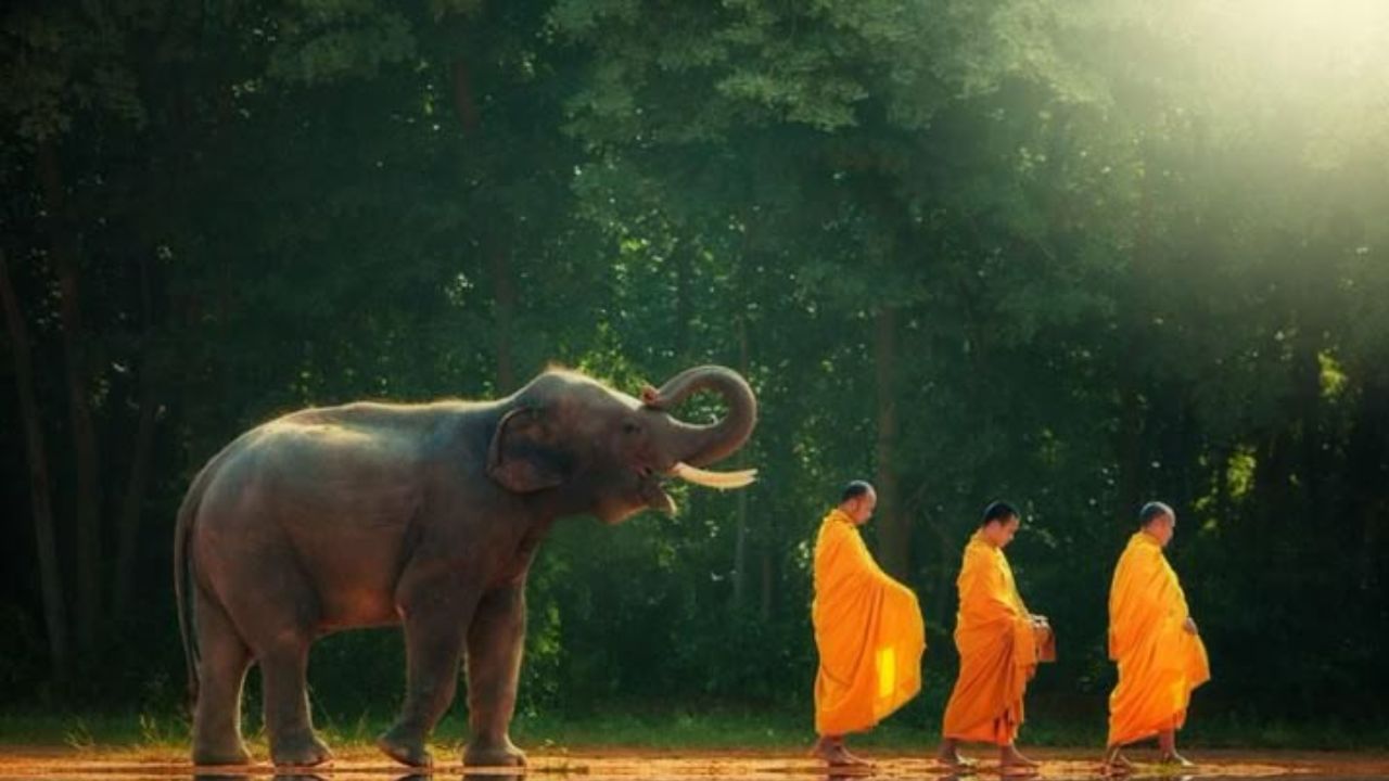 ಯಾತ್ರೆಗೆ ಹೋಗುವಾಗ ಯಾವಾಗ ಹೋಗಬೇಕು? ಇಲ್ಲಿದೆ ನೋಡಿ