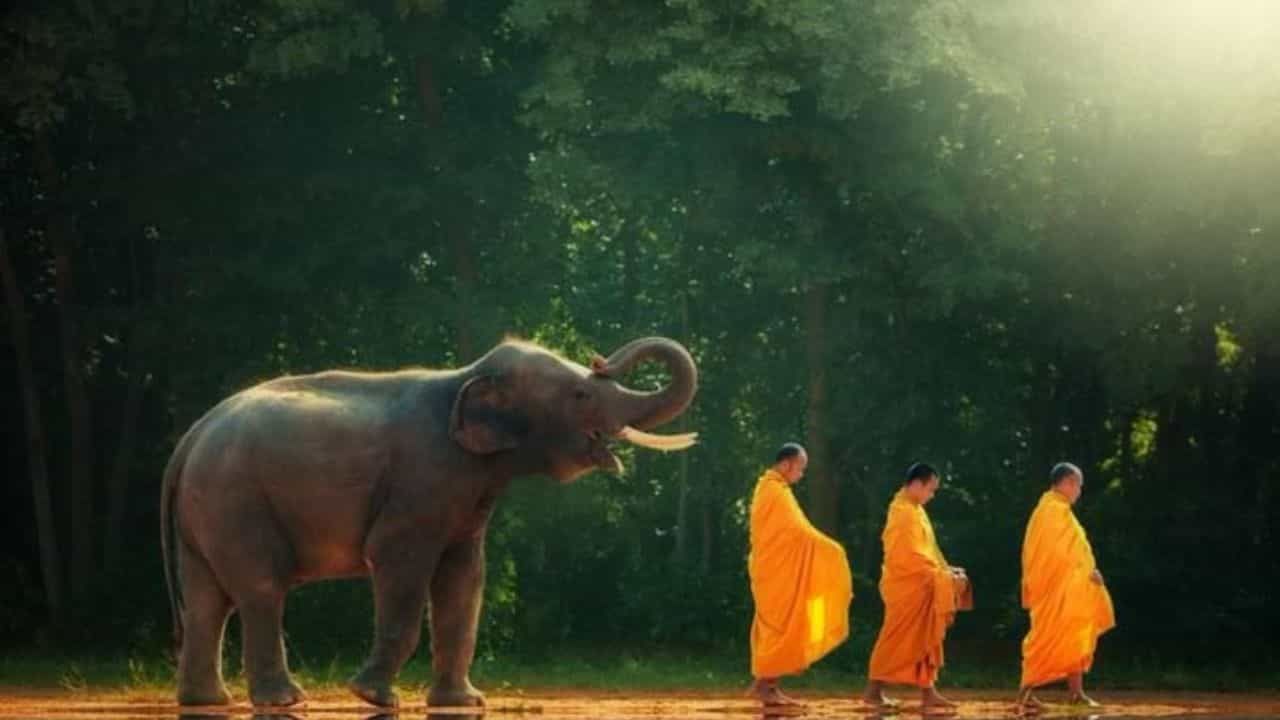 ಯಾತ್ರೆಗೆ ಹೋಗುವಾಗ ಯಾವಾಗ ಹೋಗಬೇಕು? ಇಲ್ಲಿದೆ ನೋಡಿ ಯಾತ್ರೆಗೆ ಹೋಗುವಾಗ ಯಾವಾಗ ಹೋಗಬೇಕು? ಇಲ್ಲಿದೆ ನೋಡಿ