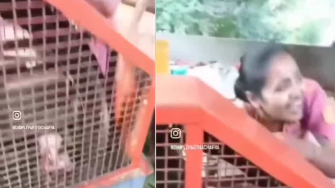 Viral: ಮೇವು ಕತ್ತರಿಸುವ ಯಂತ್ರಕ್ಕೆ ಸಿಲುಕಿದ ಕೈ; ನೋವಿನಿಂದ ಒದ್ದಾಡಿದ ಮಹಿಳೆ