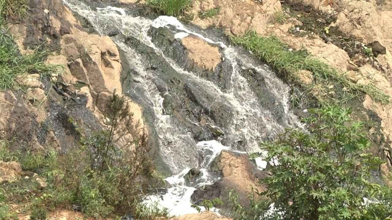 ಚರಂಡಿ ನೀರು ನದಿ ಸೇರುತ್ತಿದ್ದರು, ಹರಿಹರ ನಗರ ಸಭೆ ಈ ಬಗ್ಗೆ ಗಮನ ಹರಿಸುತ್ತಿಲ್ಲ. ಇನ್ನೊಂದು ಕಡೆ ನೂರಾರು ಗ್ರಾಮಗಳಲ್ಲಿ ಭೀಕರ ಕುಡಿಯುವ ನೀರಿನ ಸಮಸ್ಯೆ ಉಂಟಾಗಲಿದೆ ಎಂದು ಜಿಲ್ಲಾಡಳಿತ ಯೋಜನೆ ರೂಪಿಸಿಕೊಳ್ಳುತ್ತಿದೆ.