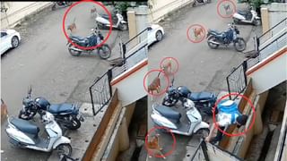 ಅಬ್ಬಬ್ಬಾ… ಬರೋಬ್ಬರಿ 7 ಲಕ್ಷ ರೂ. ದಾಖಲೆ ಮೊತ್ತಕ್ಕೆ ಸೇಲ್ ಆದ ಅಂಡರ್‌ವೇರ್; ಇದರ ವಿಶೇಷತೆ ಏನು ಗೊತ್ತಾ?