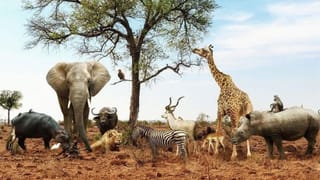 Personality Test: ತೋರು ಬೆರಳಿಗಿಂತ ಉಂಗುರ ಬೆರಳು ಚಿಕ್ಕದಿದ್ಯಾ? ಹಾಗಾದ್ರೆ ನಿಮ್ಮ ವ್ಯಕ್ತಿತ್ವ ಹೀಗಿರುತ್ತೆ