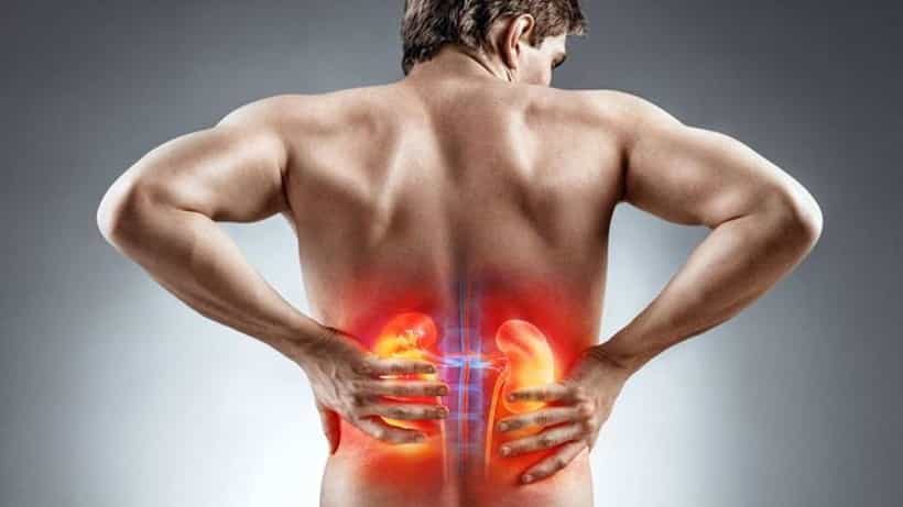 World Kidney Day 2025: ಕಿಡ್ನಿ ಸಮಸ್ಯೆ ತಡೆಗಟ್ಟಲು ಈ ಸಲಹೆಗಳನ್ನು ಅನುಸರಿಸಿ
