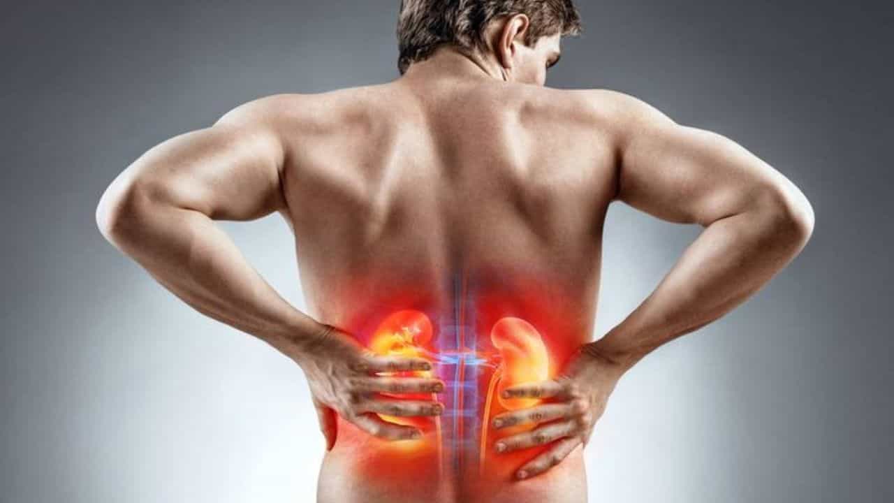 World Kidney Day 2025: ಕಿಡ್ನಿ ಸಮಸ್ಯೆ ತಡೆಗಟ್ಟಲು ಈ ಸಲಹೆಗಳನ್ನು ಅನುಸರಿಸಿ World Kidney Day 2025: ಕಿಡ್ನಿ ಸಮಸ್ಯೆ ತಡೆಗಟ್ಟಲು ಈ ಸಲಹೆಗಳನ್ನು ಅನುಸರಿಸಿ