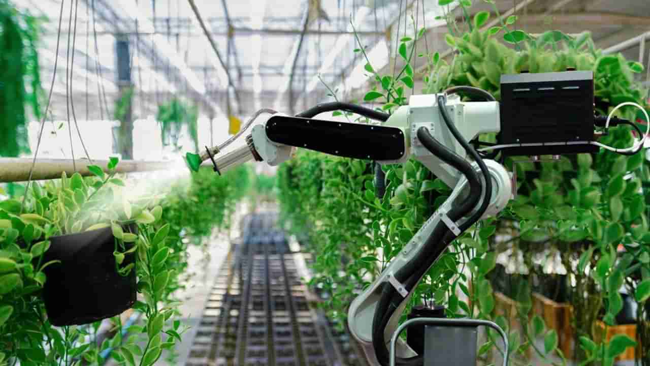 Agricultural Engineering Careers: ಕೃಷಿ ಎಂಜಿನಿಯರಿಂಗ್‌ನಲ್ಲಿ ಹಲವು ಉದ್ಯೋಗವಕಾಶ; ತಿಂಗಳಿಗೆ ಲಕ್ಷ ಲಕ್ಷ ಸಂಬಳ!