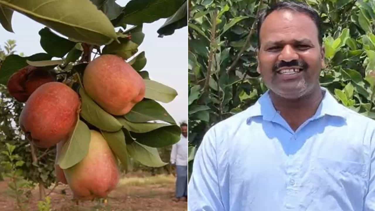 ಮನ್ ಕಿ ಬಾತ್ನಲ್ಲಿ ಬಾಗಲಕೋಟೆ ವ್ಯಕ್ತಿಯನ್ನ ನೆನೆದ ಮೋದಿ: ಅಷ್ಟಕ್ಕೂ ಶ್ರೀಶೈಲ್ ಮಾಡಿದ ಸಾಧನೆ ಏನು? ಮನ್ ಕಿ ಬಾತ್ನಲ್ಲಿ ಬಾಗಲಕೋಟೆ ವ್ಯಕ್ತಿಯನ್ನ ನೆನೆದ ಮೋದಿ: ಅಷ್ಟಕ್ಕೂ ಶ್ರೀಶೈಲ್ ಮಾಡಿದ ಸಾಧನೆ ಏನು?