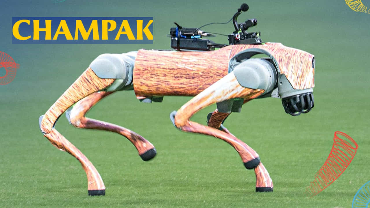 IPL 2025: ರೋಬೋ ಶ್ವಾನಕ್ಕೆ ಹೆಸರಿಟ್ಟು ಸಂಕಷ್ಟಕ್ಕೆ ಸಿಲುಕಿದ ಬಿಸಿಸಿಐ; ಹೈಕೋರ್ಟ್ನಿಂದ ನೋಟಿಸ್ IPL 2025: ರೋಬೋ ಶ್ವಾನಕ್ಕೆ ಹೆಸರಿಟ್ಟು ಸಂಕಷ್ಟಕ್ಕೆ ಸಿಲುಕಿದ ಬಿಸಿಸಿಐ; ಹೈಕೋರ್ಟ್ನಿಂದ ನೋಟಿಸ್