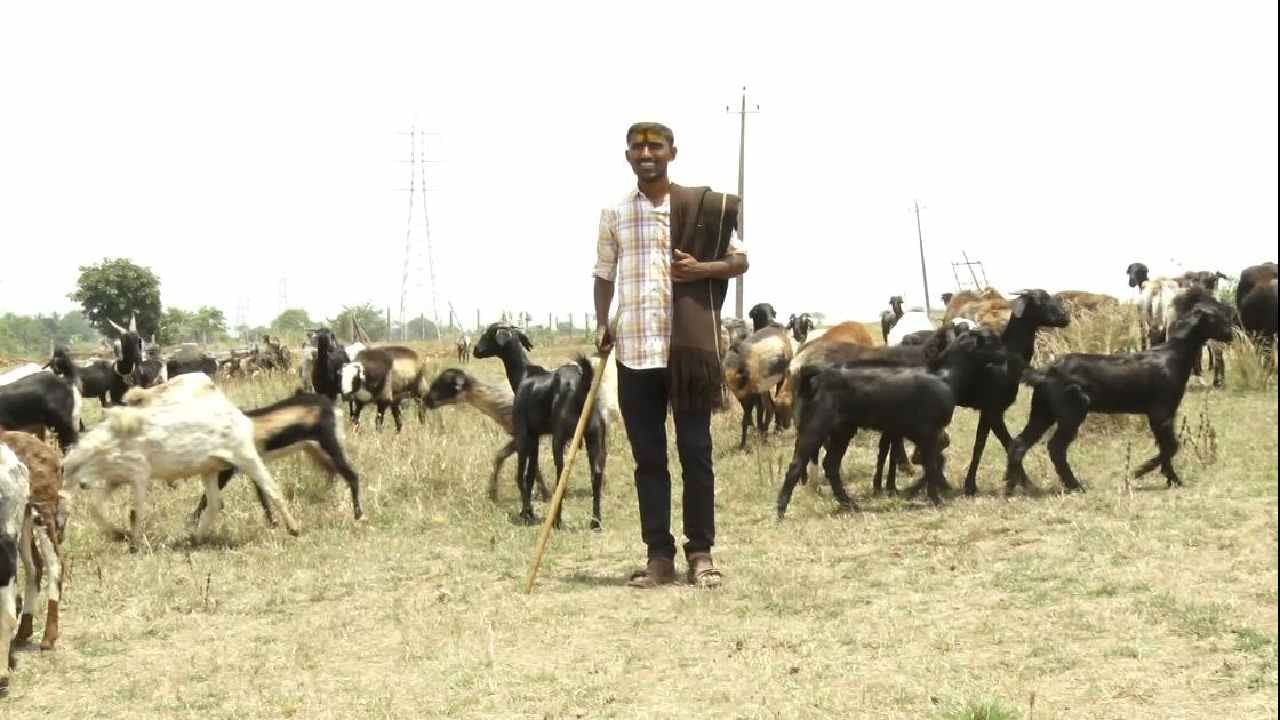 ದೇಶದ ಅತ್ಯುನತ್ತ ಪರೀಕ್ಷೆಯಲ್ಲಿ ಒಂದಾದ ನಾಗರೀಕ ಸೇವಾ ಪ್ರಾಧಿಕಾರ ನಡೆಸುವ ಪರೀಕ್ಷೆಯಲ್ಲಿ ಬೀರಪ್ಪ ದೇಶಕ್ಕೆ 551 ನೇ ರ್ಯಾಂಕ್ ಪಡೆದು ತಾನು ಕಲಿತ ಶಾಲೆ ಹಾಗೂ ತನ್ನೂರು ಹಾಗೂ ತನ್ನ ಕುಟುಂಬಕ್ಕೆ ಕೀರ್ತಿ ತಂದಿದ್ದಾನೆ. ಸದ್ಯ ಕುರಿ ಹಿಂಡಿನಲ್ಲಿಯೇ ಇರುವ ಈತ ಮುಂದೆ ದೇಶದಲ್ಲಿ ಐಪಿಎಸ್ ಆಫೀಸರ್ ಆಗಿ ಕೆಲಸ ಮಾಡುವ ಆಸೆ ಹೊಂದಿದ್ದಾನೆ.