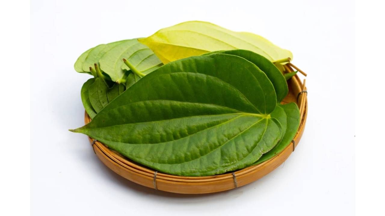 Betel Leaf Remedies: ಹಣದ ಕೊರತೆ ಹೋಗಲಾಡಿಸಲು ವೀಳ್ಯದೆಲೆ ಬಳಸಿ ಈ ಸಿಂಪಲ್​​ ಪರಿಹಾರ ಮಾಡಿ