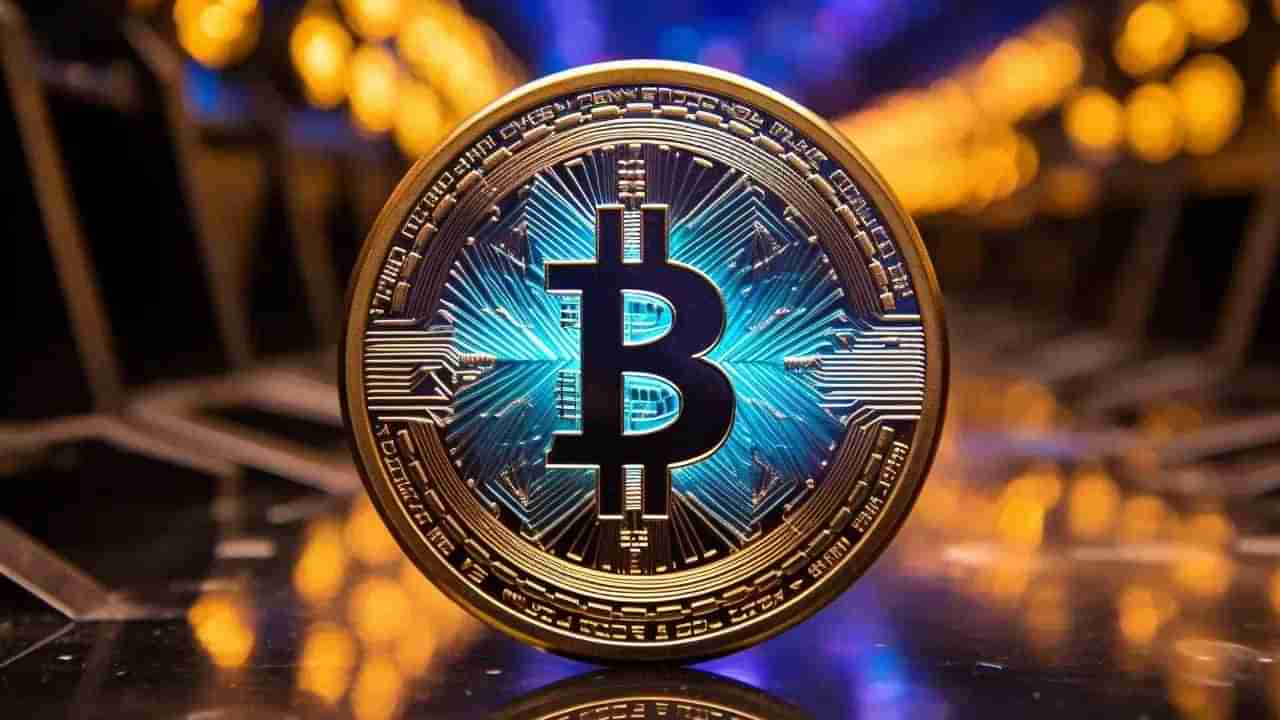 Bitcoin: 2008ರ ಬಿಕ್ಕಟ್ಟಿನಲ್ಲಿ ಹುಟ್ಟಿ, 2025ರ ಬಿಕ್ಕಟ್ಟಿನಲ್ಲಿ ಮುಳುಗಲಿರುವ ಬಿಟ್​ಕಾಯಿನ್: ಪೀಟರ್ ಶಿಫ್ ಭವಿಷ್ಯ