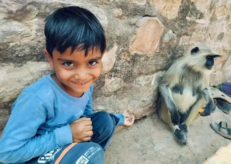 ರಾಜಸ್ಥಾನ: ಪೋಷಕರ ಜತೆ ದೇವಸ್ಥಾನಕ್ಕೆ ಹೋಗಿದ್ದ ಬಾಲಕನನ್ನು ಎಳೆದೊಯ್ದ ಹುಲಿ