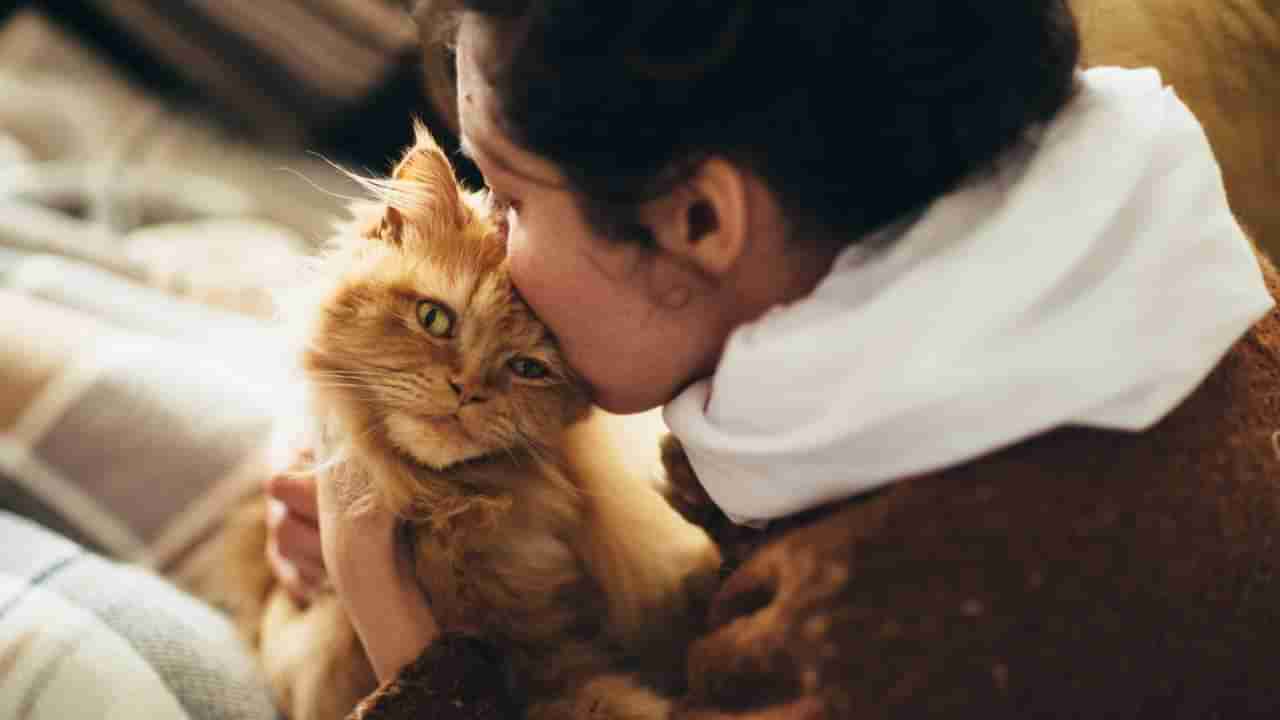 Lucky Pet: ಈ ಪ್ರಾಣಿಗಳನ್ನು ಸಾಕುವುದರಿಂದ ಸಂತೋಷದ ಜೊತೆ ಅದೃಷ್ಟ ಮನೆ ಬಾಗಿಲಿಗೆ ಬರುತ್ತಂತೆ