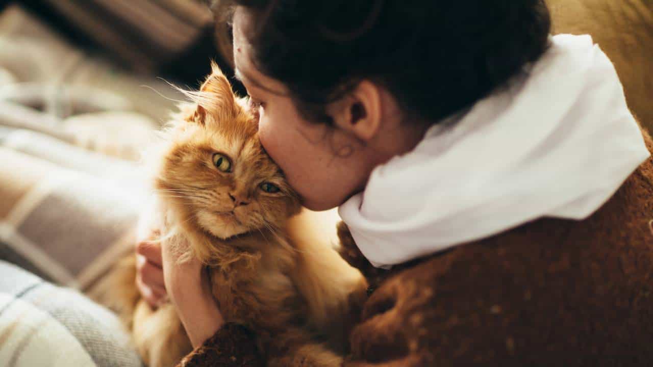 Lucky Pet: ಈ ಪ್ರಾಣಿಗಳನ್ನು ಸಾಕುವುದರಿಂದ ಸಂತೋಷದ ಜೊತೆ ಅದೃಷ್ಟ ಮನೆ ಬಾಗಿಲಿಗೆ ಬರುತ್ತಂತೆ Lucky Pet: ಈ ಪ್ರಾಣಿಗಳನ್ನು ಸಾಕುವುದರಿಂದ ಸಂತೋಷದ ಜೊತೆ ಅದೃಷ್ಟ ಮನೆ ಬಾಗಿಲಿಗೆ ಬರುತ್ತಂತೆ