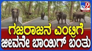 ಕೆಂಪೇಗೌಡ ಏರ್​ಪೋರ್ಟ್​ನಲ್ಲಿ ಎರಡೆರೆಡು ಅಪಘಾತ: ವಿಮಾನಕ್ಕೆ ಟಿಟಿ, ರನ್ ವೇನಲ್ಲಿರುವ ಕಂಬಕ್ಕೆ ಕಾರು ಡಿಕ್ಕಿ