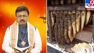 Copper Rings: ತಾಮ್ರದ ಉಂಗುರ ಧರಿಸುವುದರಿಂದ ಎಷ್ಟೆಲ್ಲಾ ಪ್ರಯೋಜನಗಳಿವೆ ಎಂದು ತಿಳಿದಿದೆಯೇ?