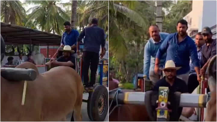 ಫಾರ್ಮ್ಹೌಸ್ನಲ್ಲಿ ಎತ್ತಿನಗಾಡಿ ಓಡಿಸಿದ ನಟ ದರ್ಶನ್; ದಾಸನ ಜಾಲಿ ಮೂಡ್ ಫಾರ್ಮ್ಹೌಸ್ನಲ್ಲಿ ಎತ್ತಿನಗಾಡಿ ಓಡಿಸಿದ ನಟ ದರ್ಶನ್; ದಾಸನ ಜಾಲಿ ಮೂಡ್