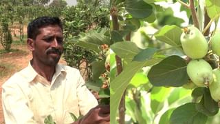 ಜಾತಿ ಗಣತಿ ವಿರುದ್ಧ ಸಿಡಿದೆದ್ದ ಒಕ್ಕಲಿಗರು, ಲಿಂಗಾಯತರು: ವರದಿ ಜಾರಿಯಾದರೆ ಸರ್ಕಾರ ಬೀಳಿಸುವ ಎಚ್ಚರಿಕೆ