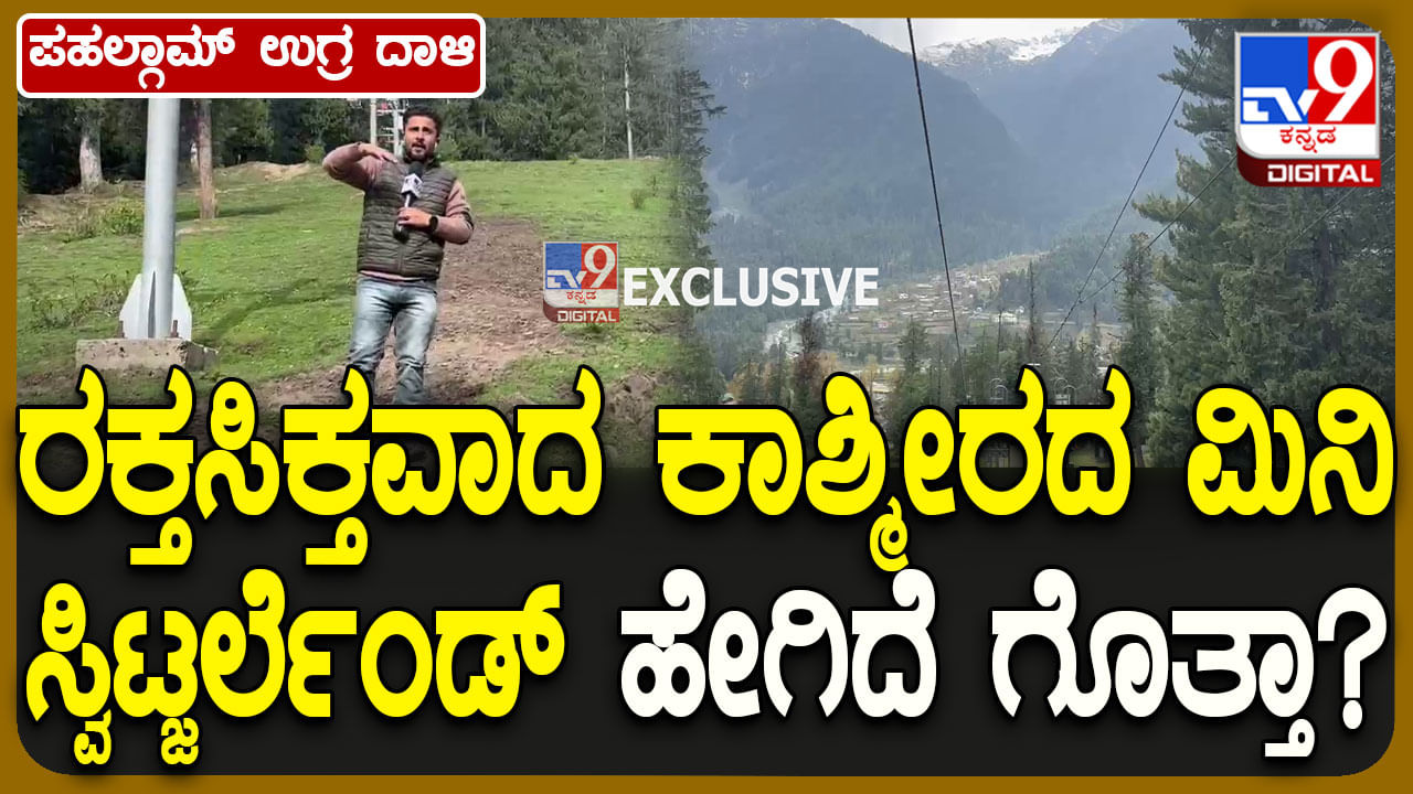 ಪಹಲ್ಗಾಮ್​ ಭೂಲೋಕದ ಸ್ವರ್ಗ ಎನ್ನುವುದ್ಹೇಕೆ? ನೀವು ಈ ವಿಡಿಯೋ ನೋಡಲೇಬೇಕು