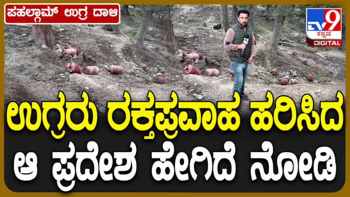 ಉಗ್ರರ ಅಟ್ಟಹಾಸದಿಂದ ರಕ್ತಪಾತವಾದ ಪಹಲ್ಗಾಮ್ ಈಗ ಹೇಗಿದೆ ನೋಡಿ... ಉಗ್ರರ ಅಟ್ಟಹಾಸದಿಂದ ರಕ್ತಪಾತವಾದ ಪಹಲ್ಗಾಮ್ ಈಗ ಹೇಗಿದೆ ನೋಡಿ...