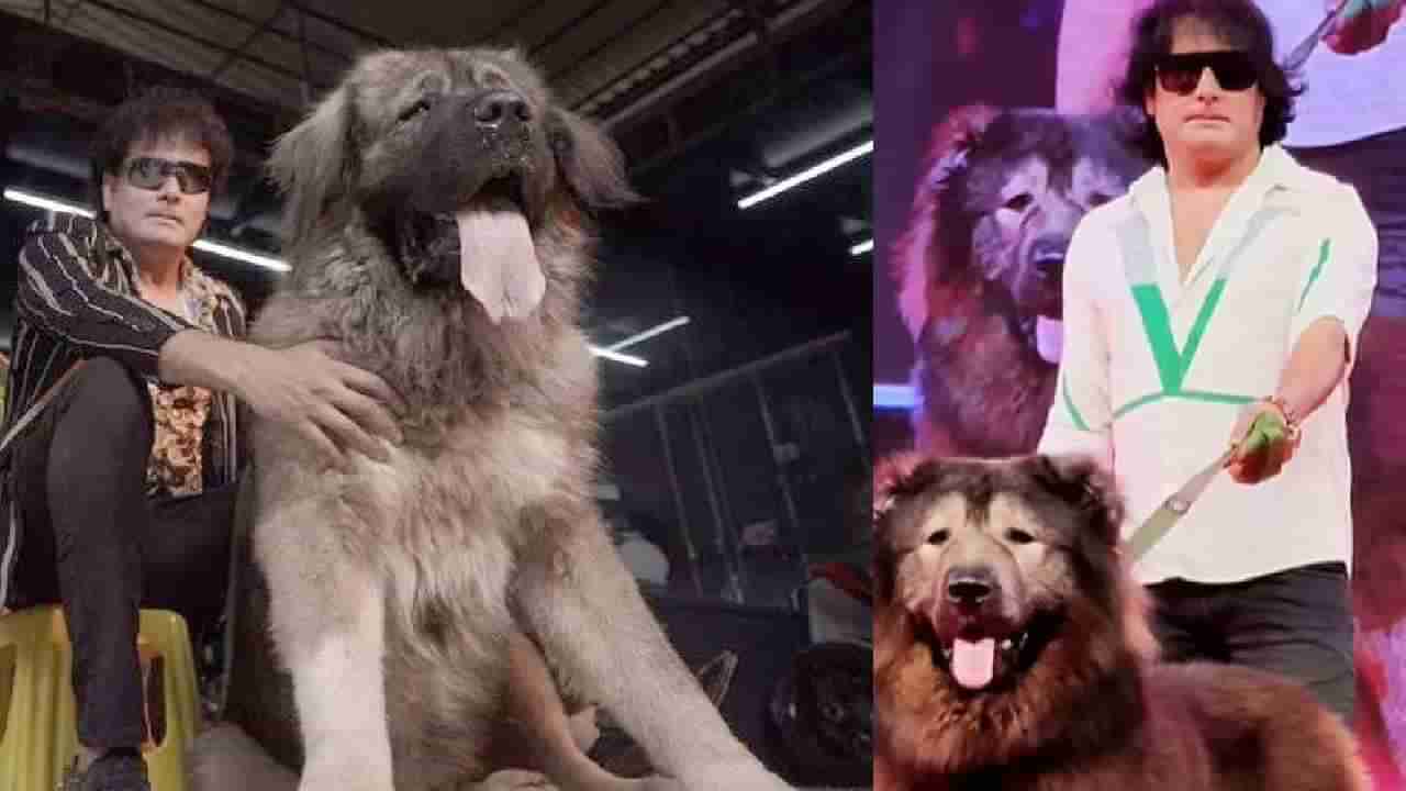 50 ಕೋಟಿ ರೂ. ಮೌಲ್ಯದ ಶ್ವಾನ ಖರೀದಿಸಿದ್ದೇನೆ ಎಂದು ಬಿಲ್ಡಪ್ ಕೊಟ್ಟಿದ್ದ ಬೆಂಗಳೂರಿನ ವ್ಯಕ್ತಿಗೆ ಇಡಿ ಶಾಕ್