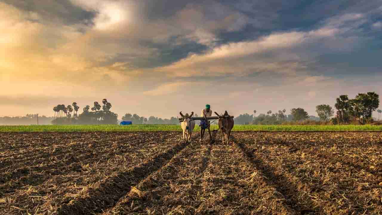 PM Kisan 20th Installment: ಪಿಎಂ ಕಿಸಾನ್: ಅರ್ಹರಲ್ಲದ ರೈತರು ಯಾರು? 20ನೇ ಕಂತು ಯಾವಾಗ? ಇಲ್ಲಿದೆ ಡೀಟೇಲ್ಸ್