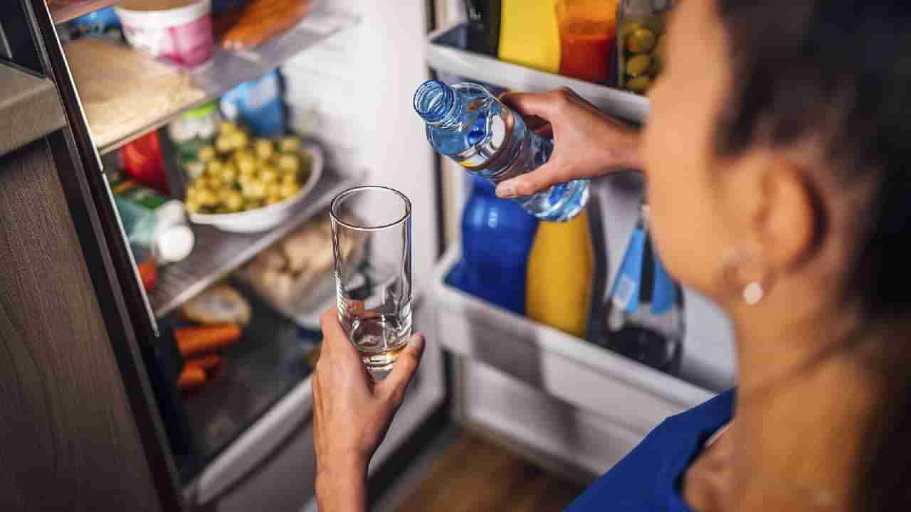 ಕುಡಿಯೋ ನೀರನ್ನು ಇದಕ್ಕಿಂತ ಹೆಚ್ಚು ಹೊತ್ತು ಫ್ರಿಡ್ಜ್‌ನಲ್ಲಿ ಸಂಗ್ರಹಿಸಿಡಬಾರದಂತೆ; ಏಕೆ ಗೊತ್ತಾ?