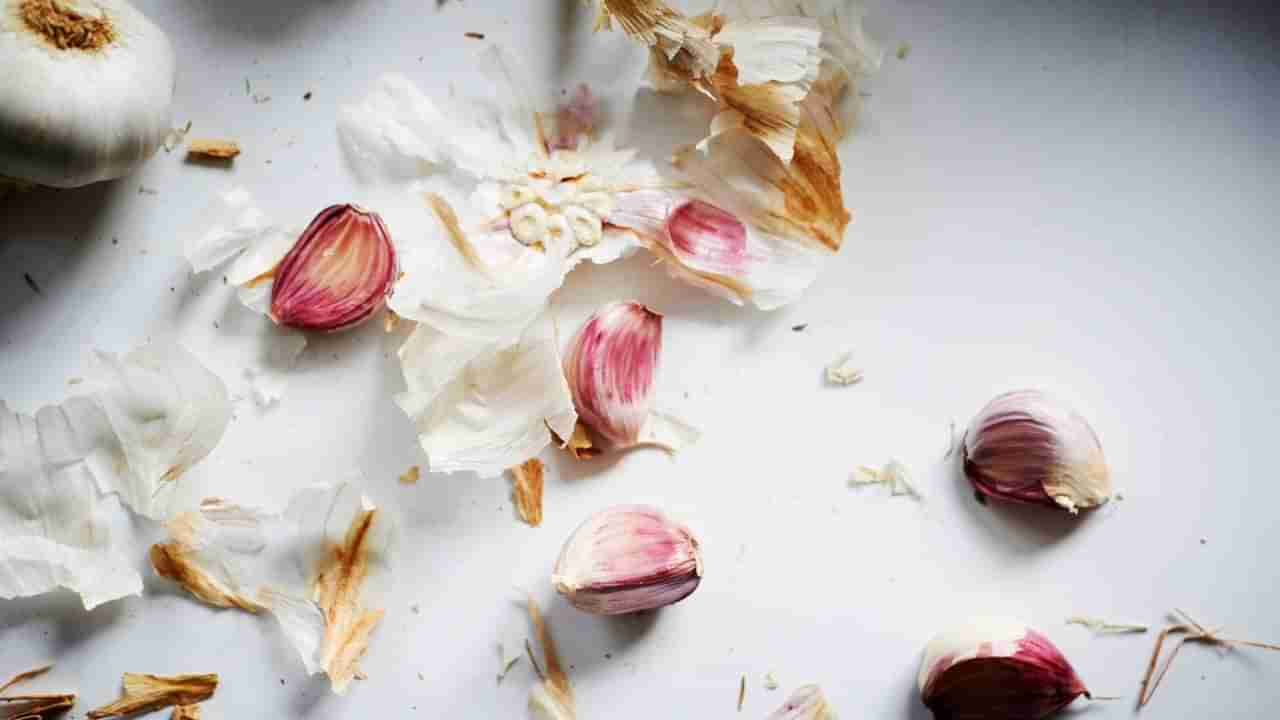 ಬೆಳ್ಳುಳ್ಳಿ ಸಿಪ್ಪೆ ಎಸೆಯಬೇಡಿ, ಇದನ್ನು ಈ ರೀತಿ ಬಳಸಿದರೆ ನಿಮ್ಮ ಆರೋಗ್ಯ ಕಾಪಾಡುತ್ತೆ